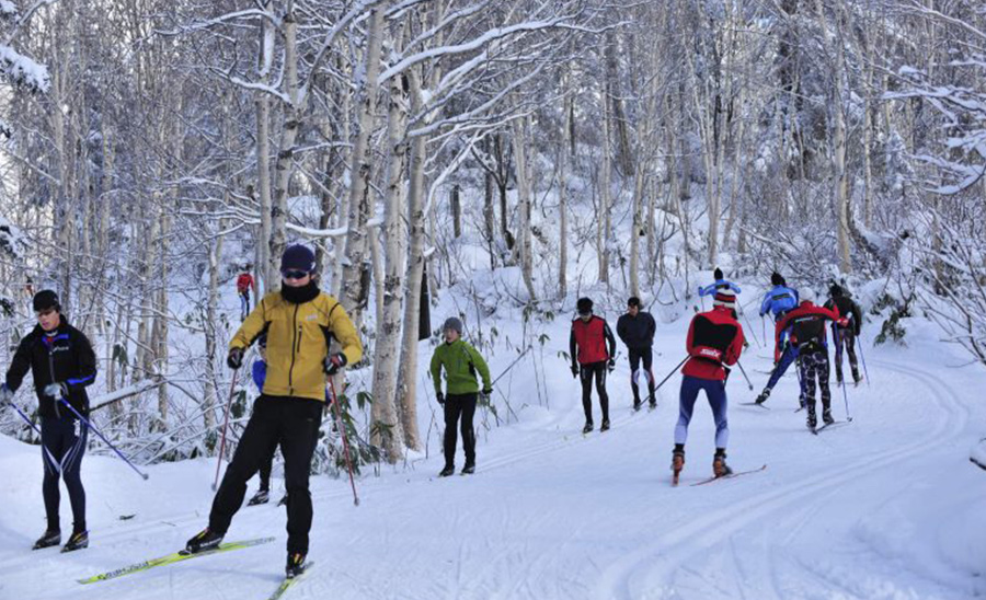 Cross country ski