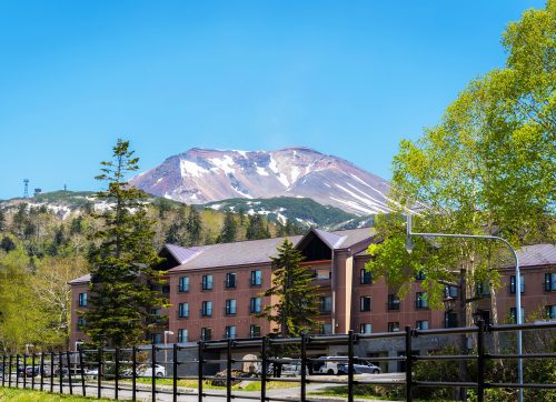 6月撮影１syut20220606syus